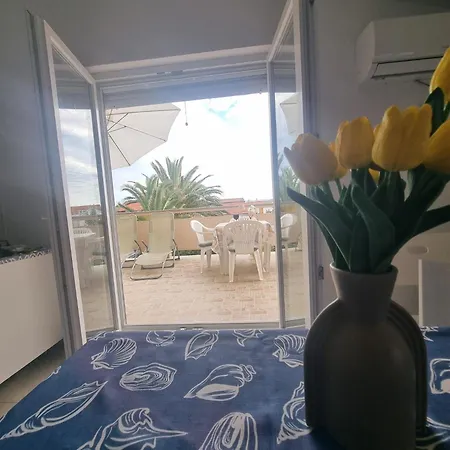 Slani Vir, Miljkovica Appartement *