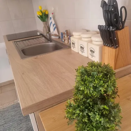 Appartement Slani Vir, Miljkovica *